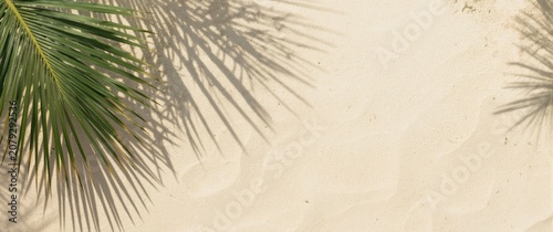 Palm leaf shadows on sandy beach background