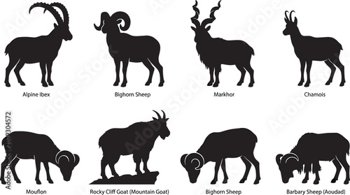 Foto Wild Goat and Sheep Silhouettes Collection Featuring Ibex Markhor Mouflon and Mo