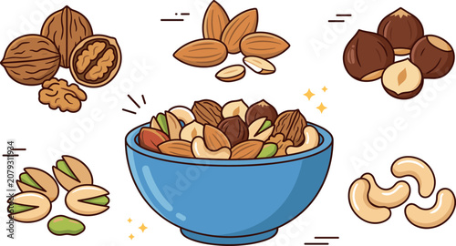 Healthy Mixed Nuts Vector Illustration Set Featuring Walnuts Almonds Hazelnuts Pistachios and Cashews in a Blue Ceramic Bowl for Food Branding and Menu Layouts