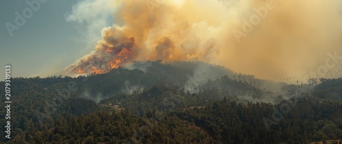Forest fire burning on a hi...