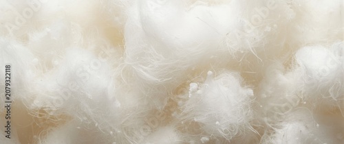 White cotton fiber in soft ...