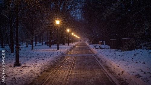 Snowy pathway illuminated b...