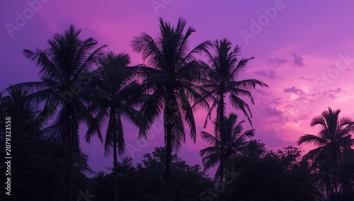 Tropical palms standing tal...