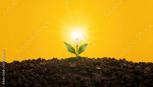 Light bulb sprouting from s...