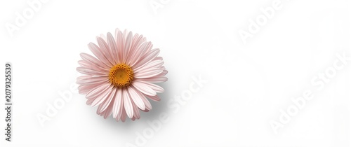 minimalist image of one ast...