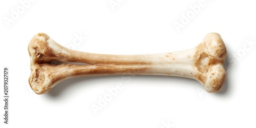Raw bone from cattle isolat...