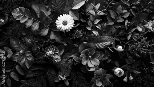 Black and white arrangement...