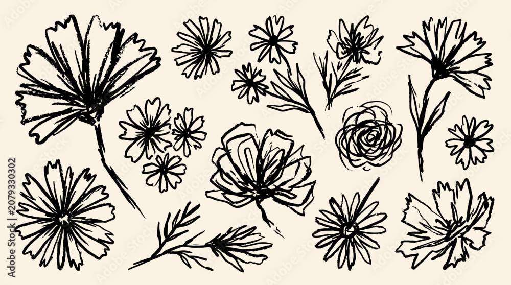 Fototapeta premium A grunge charcoal or chalk spring summer flower collection on display
