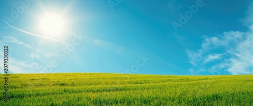 Sunny summer landscape show...