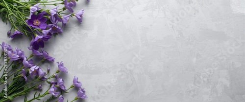 Purple flowers arranged on ...