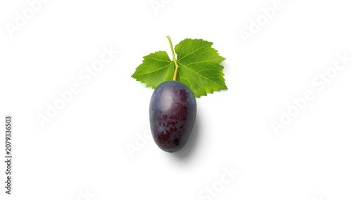 Single dark grape with leaf...