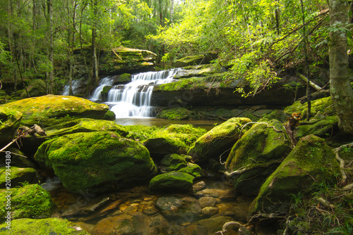 small waterfall in the forest