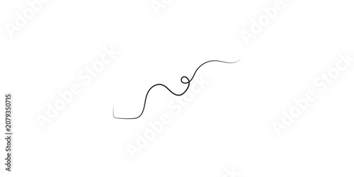 Single dark hair strand with a slight curl on a white background.