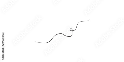 Single strand of dark hair isolated on a clean white background.