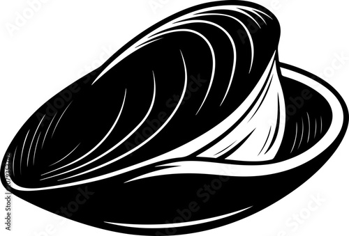mussel shell vector illustration