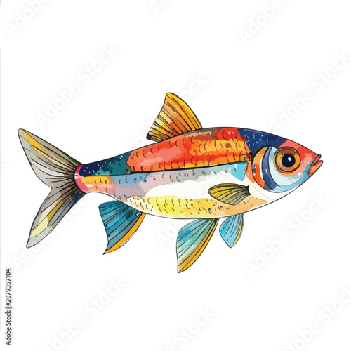 Colorful watercolor illustration of a small exotic tropical fish isolated on white.