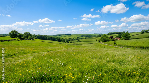 Serene natural green landscape photo with rolling hills and wildflowers