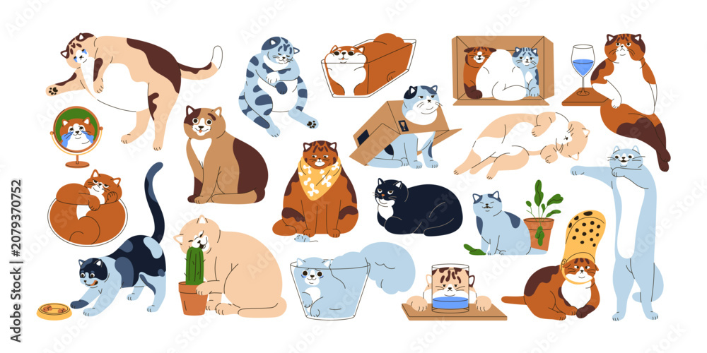 Obraz premium Funny mem cats set. Happy, sad or angry felines with amusing expressions, humorous emotions and comic poses. Cute meme kitties, humor animals. Flat vector illustrations isolated on white background