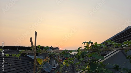 sunset in the city