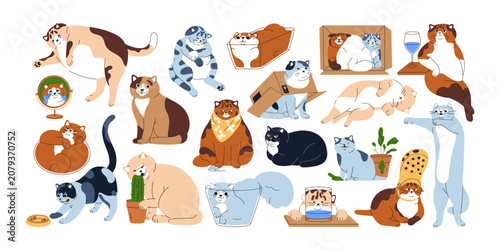 Funny mem cats set. Happy, sad or angry felines with amusing expressions, hum...