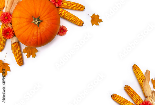 Autumn composition with yellow pumpkin, corn cobs, maple leaves and dahlia flowers, yellow apples a on white background with space for text. Top view, flat lay