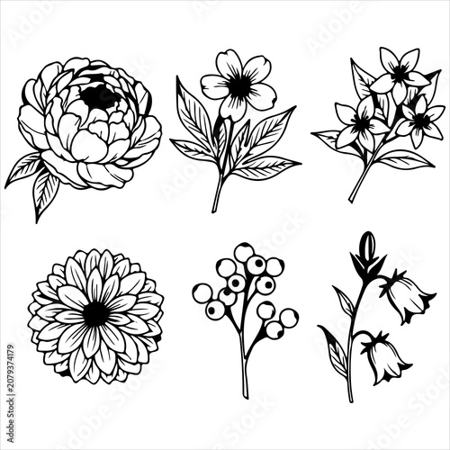 Set of six exquisite floral and botanical line art illustrations for elegant stationery and decorative projects