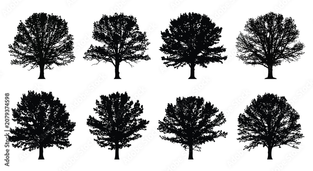 Fototapeta premium Tree Silhouettes Collection Black Shapes On White Background