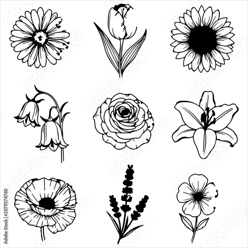 Set of nine hand drawn floral illustrations featuring diverse blossoms in clean black and white line art vector style
