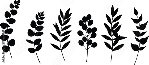 Botanical leaves vector set, minimal silhouette foliage design, eucalyptus and branches collection, black nature elements for decoration, tattoo, logo, art