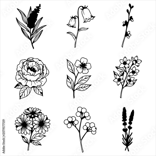 Collection of nine hand drawn botanical and floral line art designs for creative stationery and decor