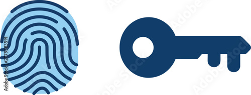 Biometric fingerprint security scanner and dark blue key icon on white background vector illustration representing access control and privacy