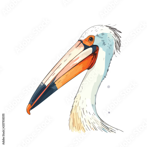 Watercolor illustration of a pelican head profile.