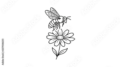 Bild auf Leinwand Hand drawn illustration of a bee hovering above a daisy flower.