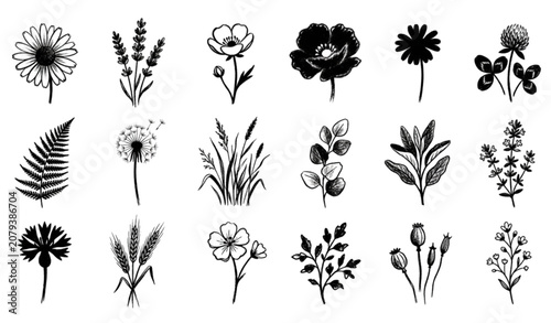 Grunge Minimal Charcoal Wildflower Collection Hand Drawn Spring Summer Botanical Herbs Vector Set in Chalk Sketch Style