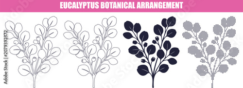 Eucalyptus branch collection with leaves and berries in vector silhouette styles isolated on white background