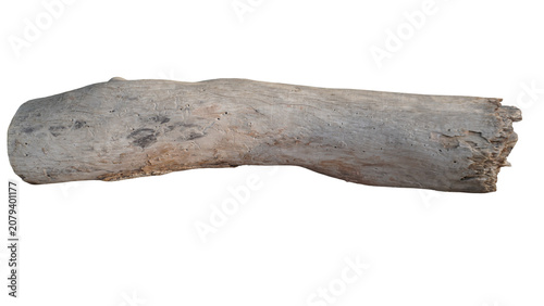 Rustic weathered textured driftwood timber log, nature concept