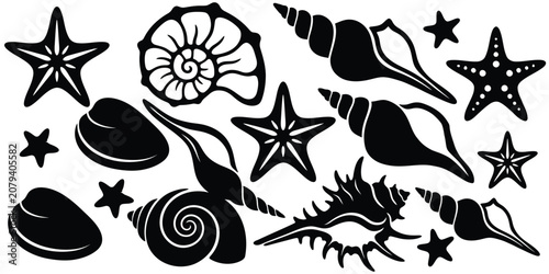 Foto Set of various seashells and starfish, marine life silhouettes for design