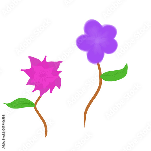 Two Simple Colorful Flowers Illustration Hand Drawn.