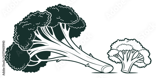 Fényképezés Minimalist graphic design of broccoli heads with broccoli vegetable nutrition ve
