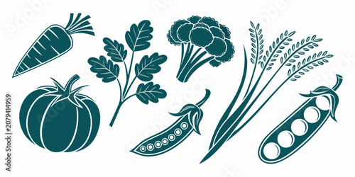 Photos Set of assorted vegetable and grain icons in flat vector illustration with veget