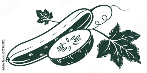 Cucumber plant and fruit graphic design with cross section cucumber vegetable ingredient agriculture culinary vegetarian nutrition isolated