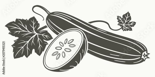 Cucumber vegetable with leaves graphic cross section cucumber vegetable ingredient agriculture culinary vegetarian nutrition illustration