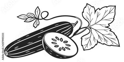 Graphic illustration of whole cucumber and half slice with leaves cucumber vegetable vegetarian ingredient nutrition agriculture illustration