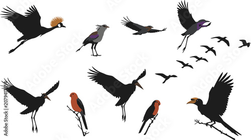 Foto Flying exotic birds illustration set, tropical wildlife collection, colorful Afr