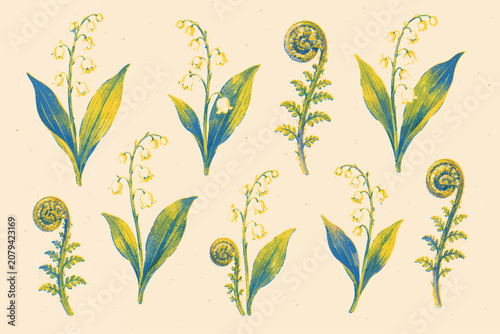Lily of the valley and fern botanical illustration set with vintage risograph texture, spring foliage, and soft cream paper background for floral design projects