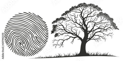 Abstract biometric fingerprint and tree silhouette isolated on white background with fingerprint biometric silhouette identity security isolated