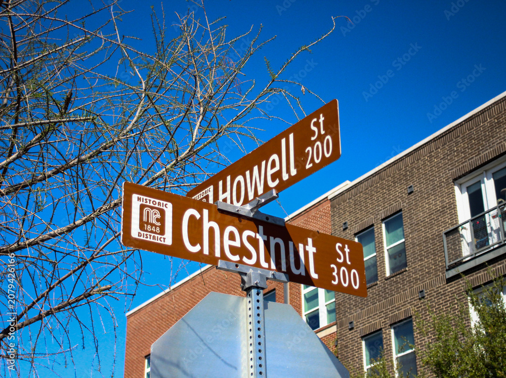 Obraz premium Howell Street and Chestnut Street Directional Street Sign Surrounded By Buildings and Trees in Downtown Mckinney, Texas
