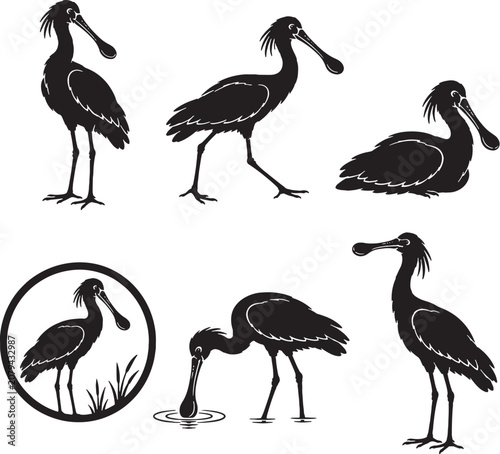 Schilderij op canvas Eurasian Spoonbill Silhouette Icon Set Collection Black Wading Bird Vector Symbo
