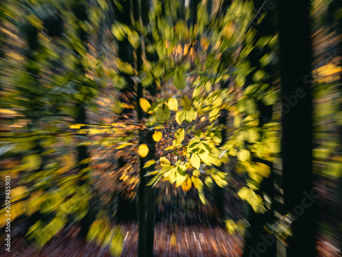Schilderij op canvas Herbstlaub abstrakt in Szene gesetzt