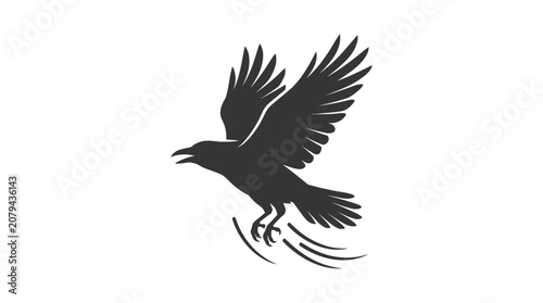Konstfotografi Black bird flying in air.